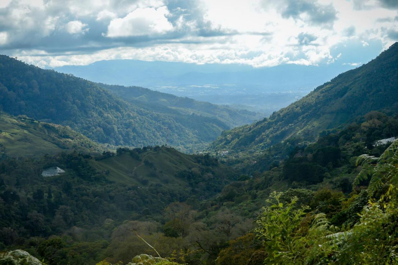 Talamanca Nature Reserve Rivas Extérieur photo
