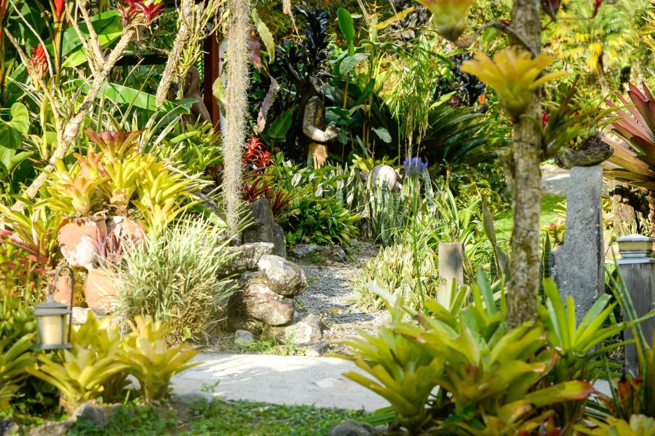 Talamanca Nature Reserve Rivas Extérieur photo