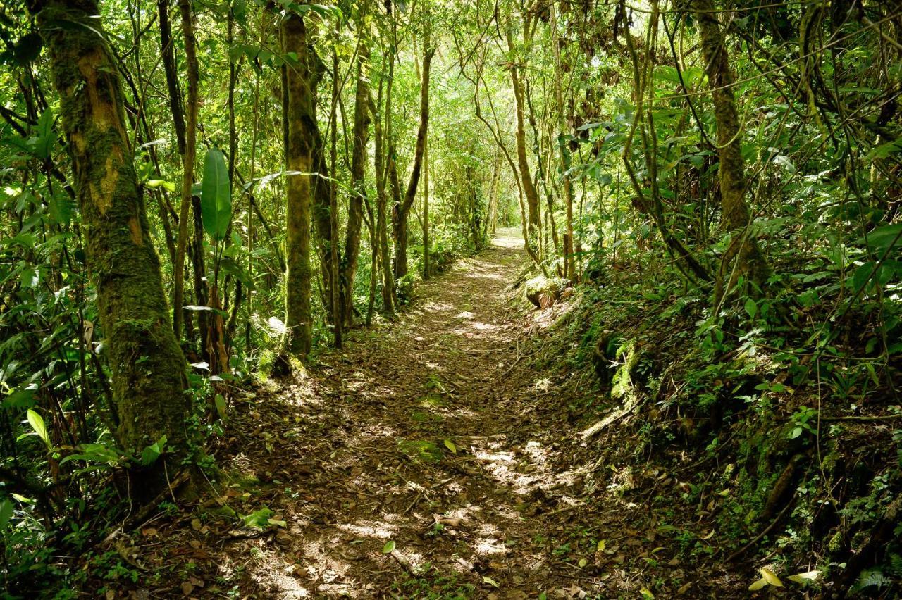Talamanca Nature Reserve Rivas Extérieur photo