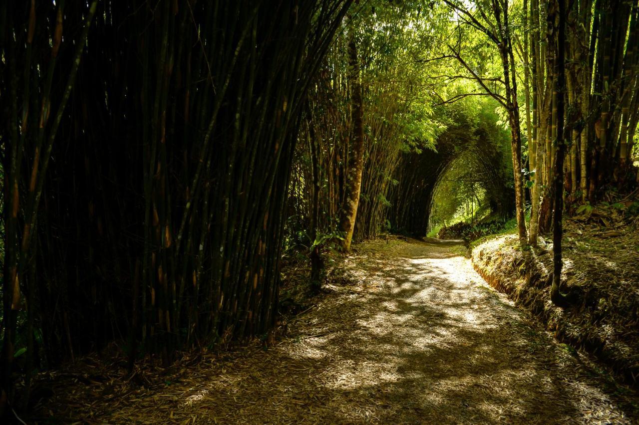 Talamanca Nature Reserve Rivas Extérieur photo