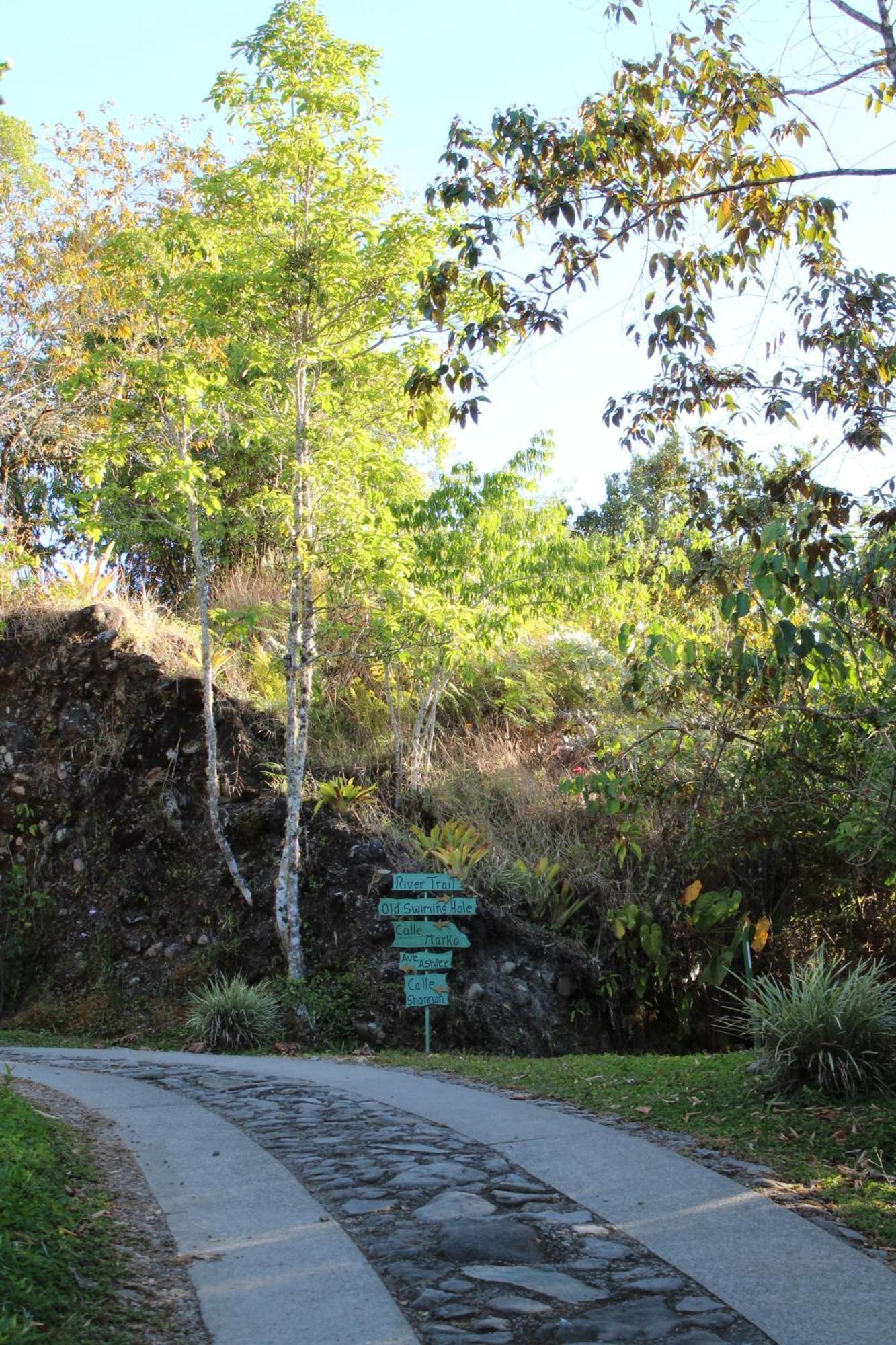 Talamanca Nature Reserve Rivas Extérieur photo