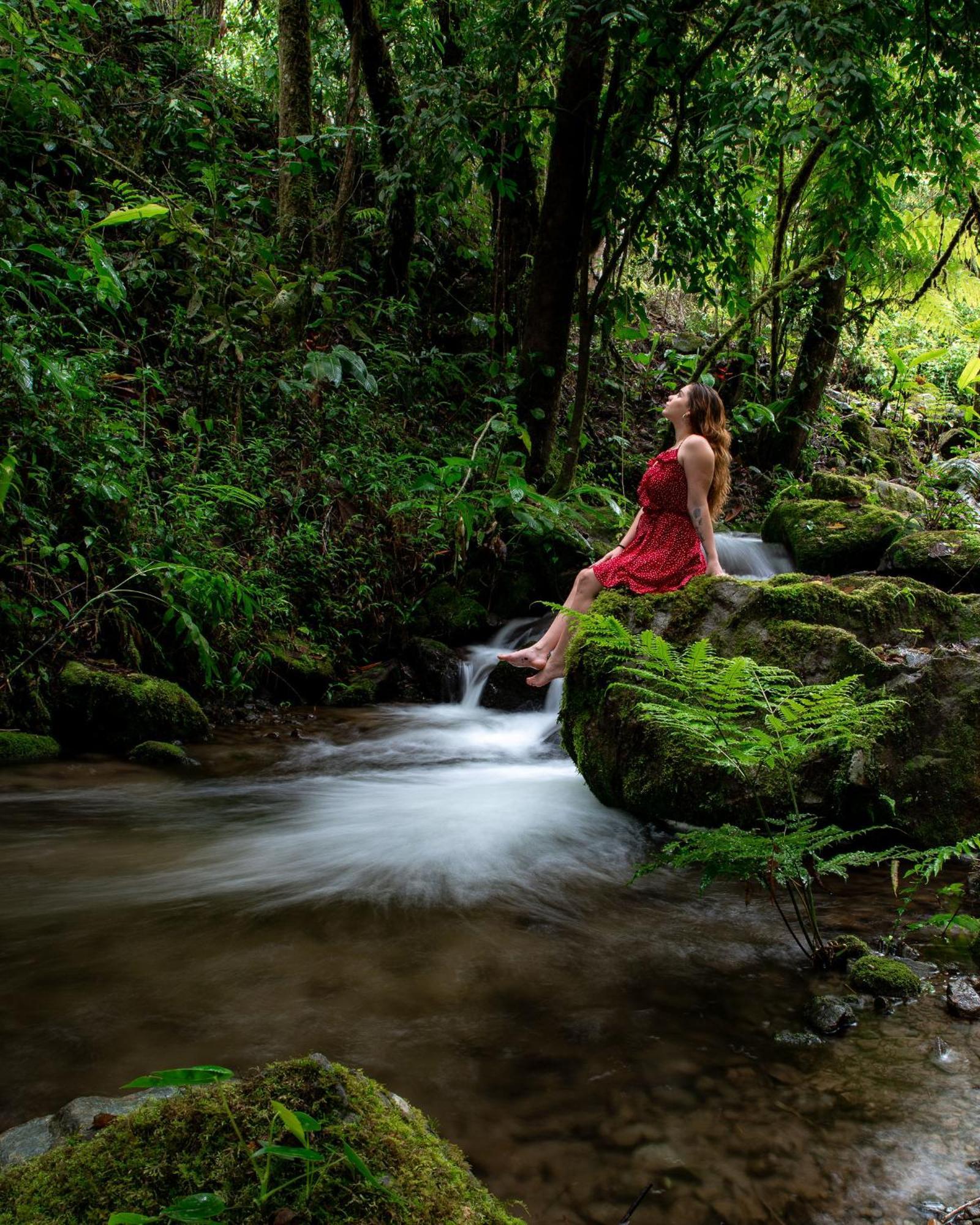 Talamanca Nature Reserve Rivas Extérieur photo