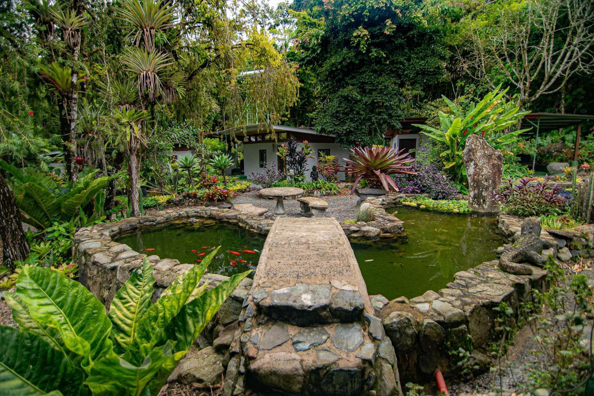 Talamanca Nature Reserve Rivas Extérieur photo