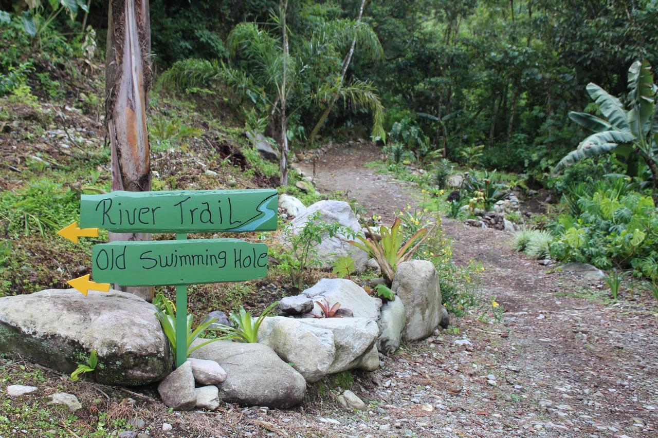Talamanca Nature Reserve Rivas Extérieur photo
