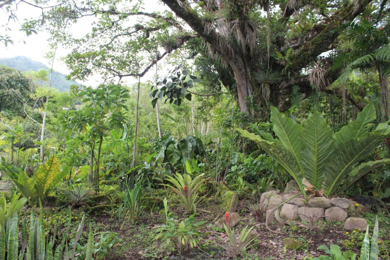 Talamanca Nature Reserve Rivas Extérieur photo