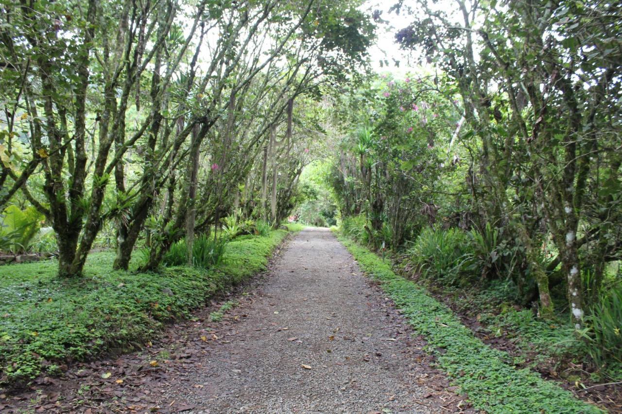 Talamanca Nature Reserve Rivas Extérieur photo